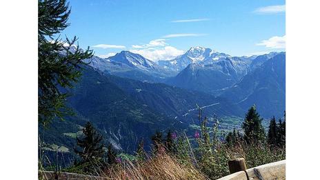 Six hours on the phone during a hiking holiday in the Alps. (Credit: Lucy Marcus)