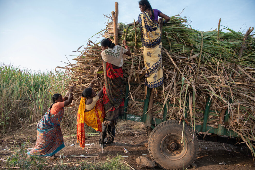 12月，在帕瓦尔瓦迪，萨维塔·达亚南德·兰格（左）和其他妇女在一天的劳动后，努力将拖车连到拖拉机上。
