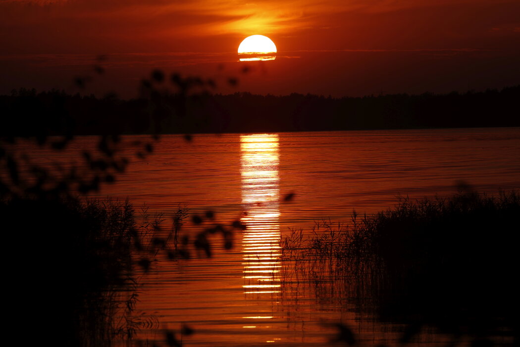 拉脱维亚阿卢克斯内的日落，摄于2022年8月热浪侵袭期间。 
